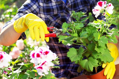 Gardeners in Millwall transforming a compact urban garden