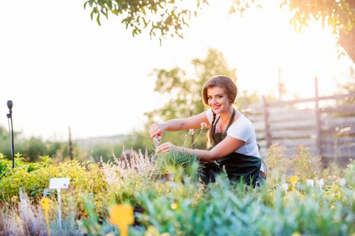 Landscape gardening ideas for a Millwall urban garden
