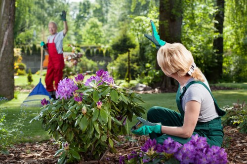 Modern garden design features suitable for Millwall homes