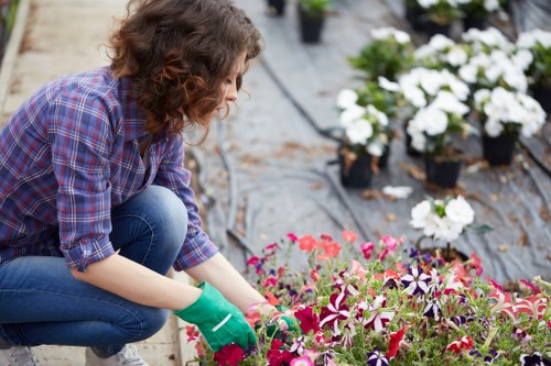 Gardeners Millwall team introducing their local gardening services