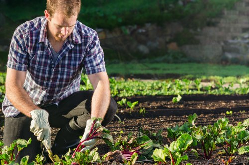 Millwall gardening services enhancing a private outdoor space