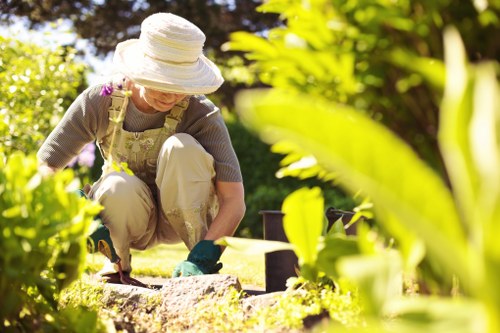 Professional garden maintenance for a compact Millwall property