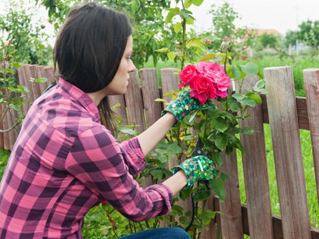 Professional gardeners in Millwall shaping and maintaining outdoor spaces