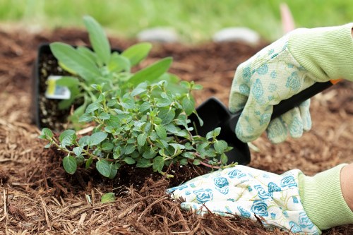 Reporting and monitoring processes for Millwall gardening services