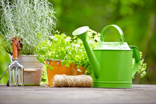 Local Gardeners Millwall delivering thoughtful year-round garden care