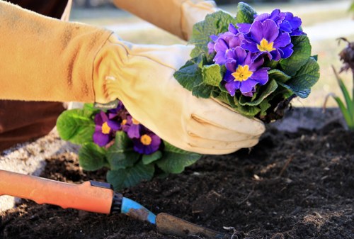 Professional Gardeners Millwall focused on safety and protection