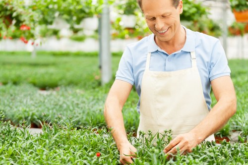 Commercial and residential garden care in Millwall