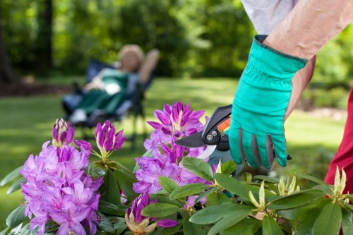 Feeding and improving soil for Millwall lawn care