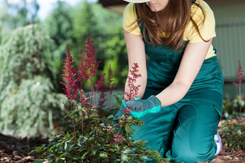 Cookie categories used by Gardeners Millwall