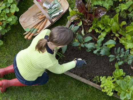 Example of garden maintenance quote for a compact Millwall property