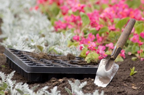 Urban garden upkeep in Millwall with pruning and border care