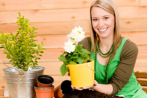 Image representing ongoing accessibility improvements for Millwall gardening content