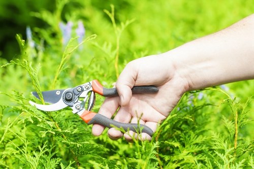 Reusable garden items sorted for charity partnership donation