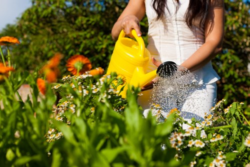 Seasonal gardening services for Millwall properties