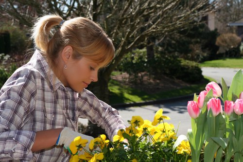 Local gardening help for small Millwall outdoor spaces