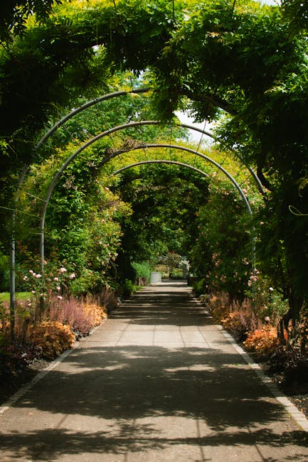 A straight pathway through a lush garden in Mudchute Park and Island Gardens E14, lined with flowerbeds and bordered by well-maintained grass and shrubbery. Overhead, a series of metal arches support 